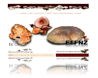 Website - www.effnz.co.nz